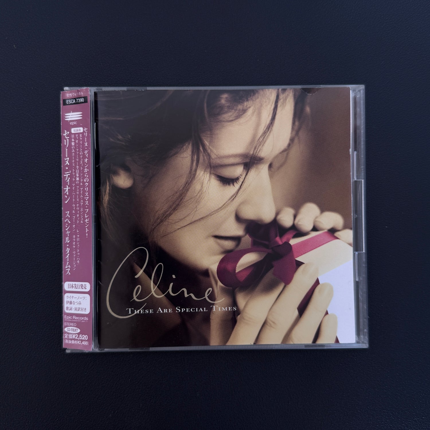 Celine Dion – These Are Special Times