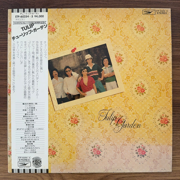 Tulip – Tulip Garden