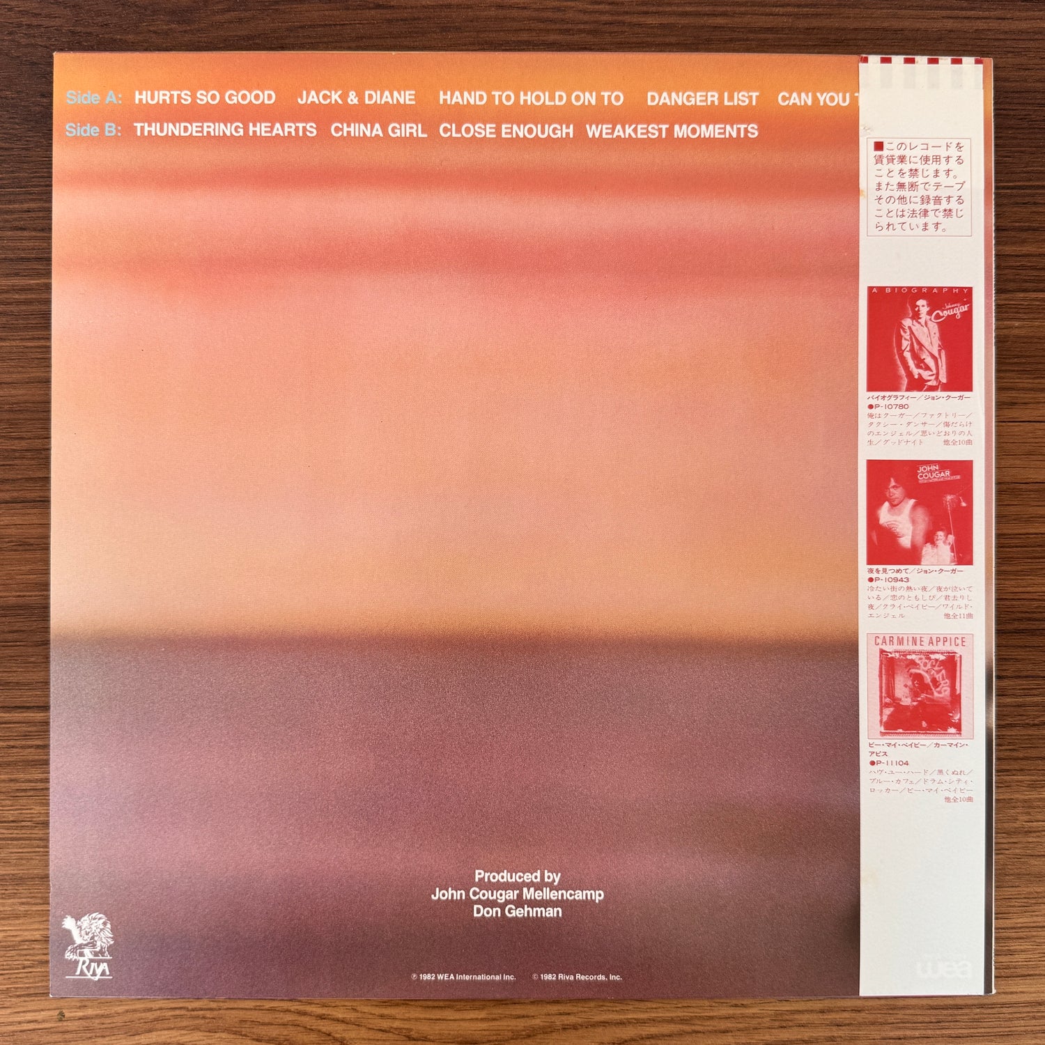 John Cougar – American Fool