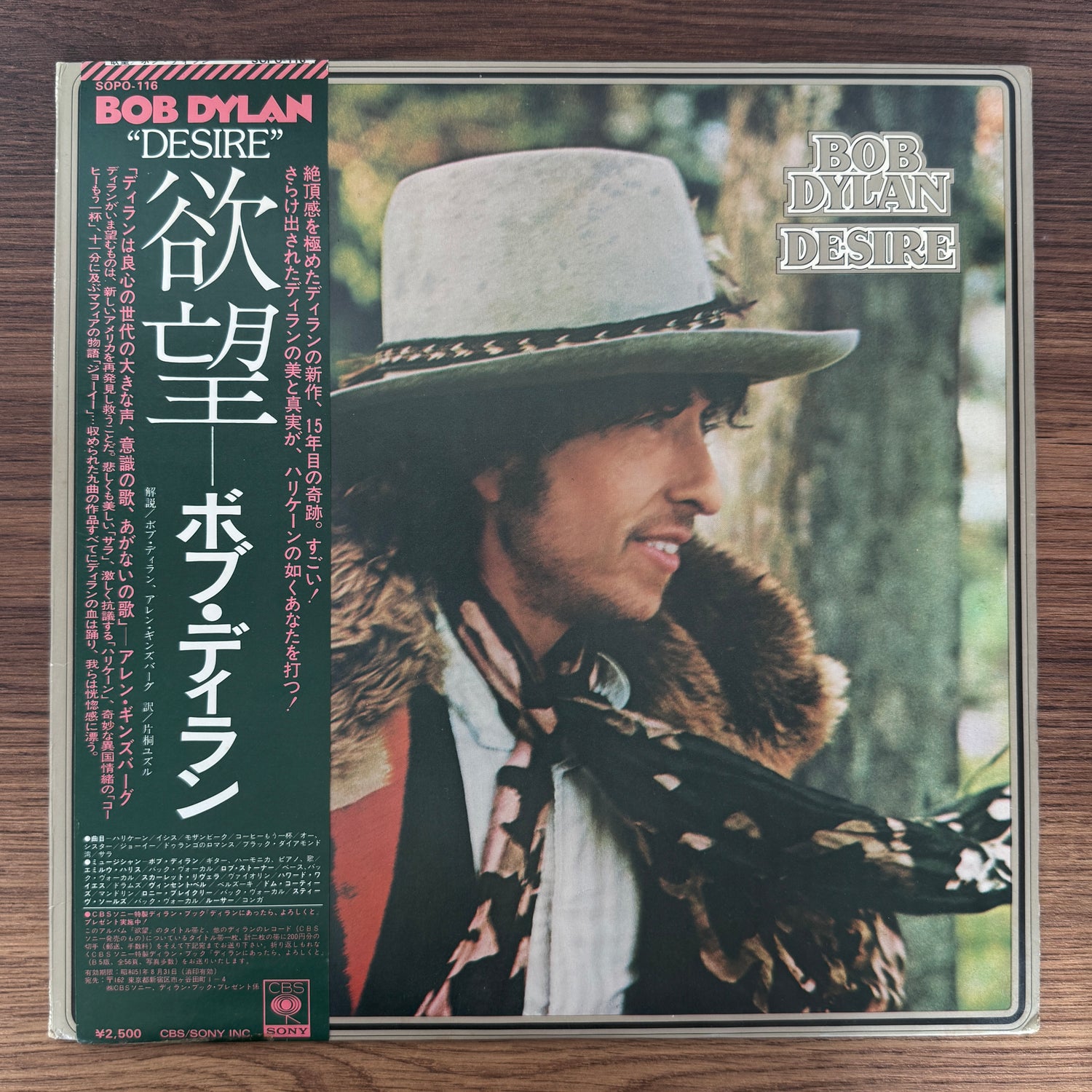 Bob Dylan – Desire