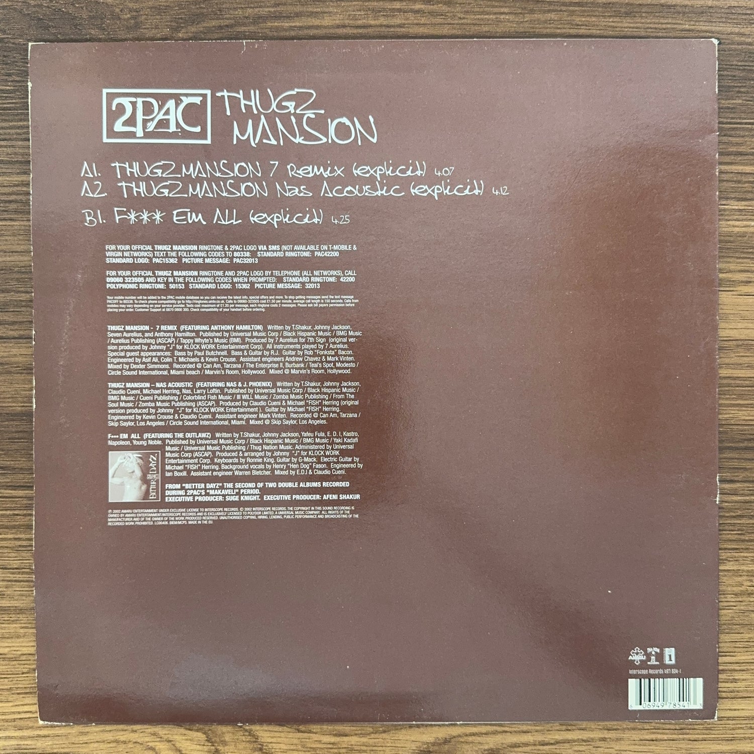2Pac – Thugz Mansion