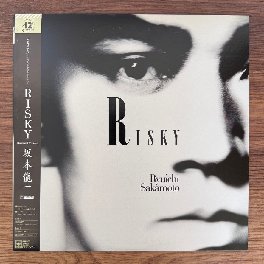 Ryuichi Sakamoto – Risky