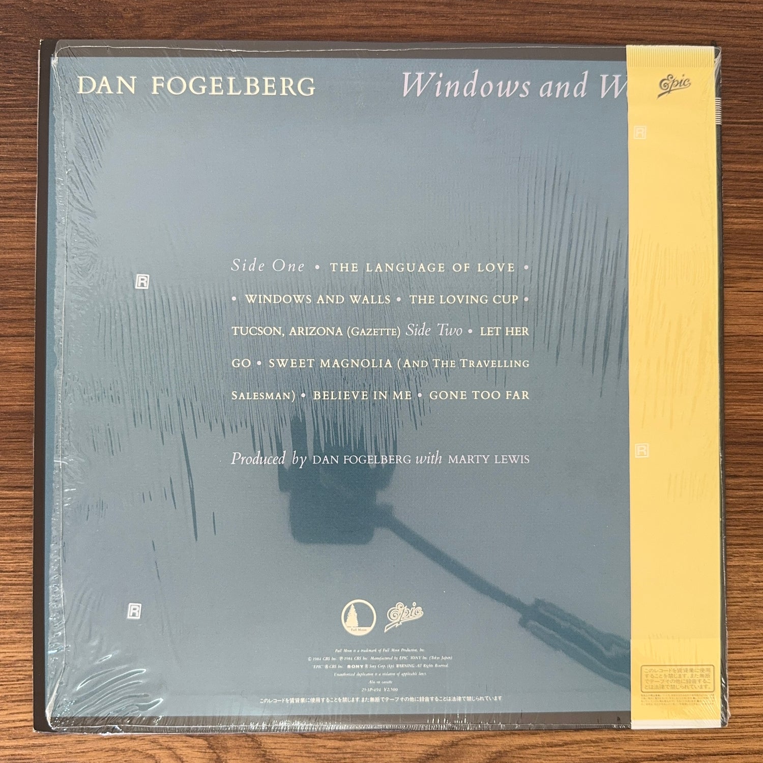 Dan Fogelberg – Windows And Walls