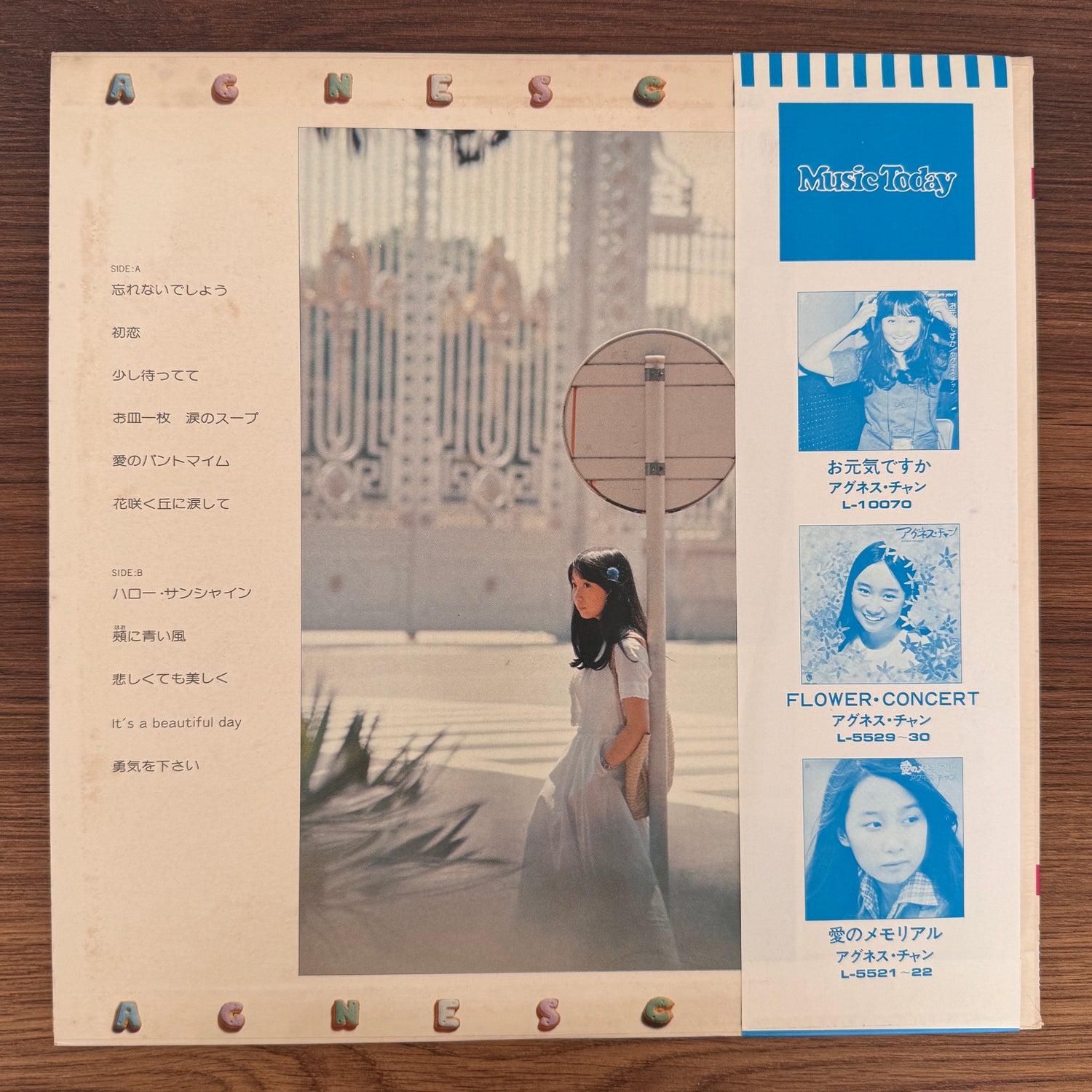 Agnes Chan – My Lover