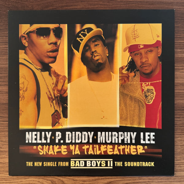 Nelly, P. Diddy & Murphy Lee – Shake Ya Tailfeather