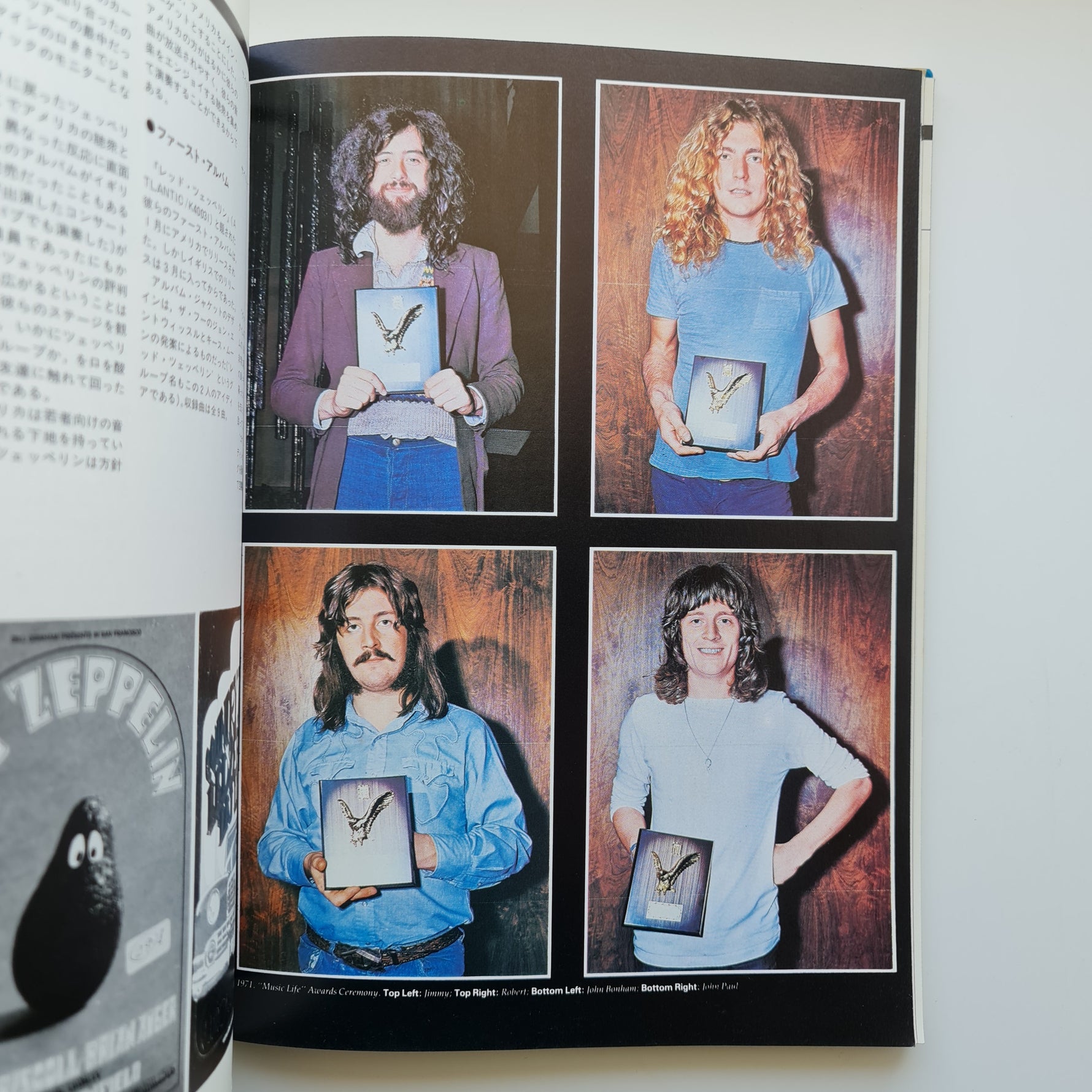 Led Zeppelin In The Light Kitap Only Japan Vinyl