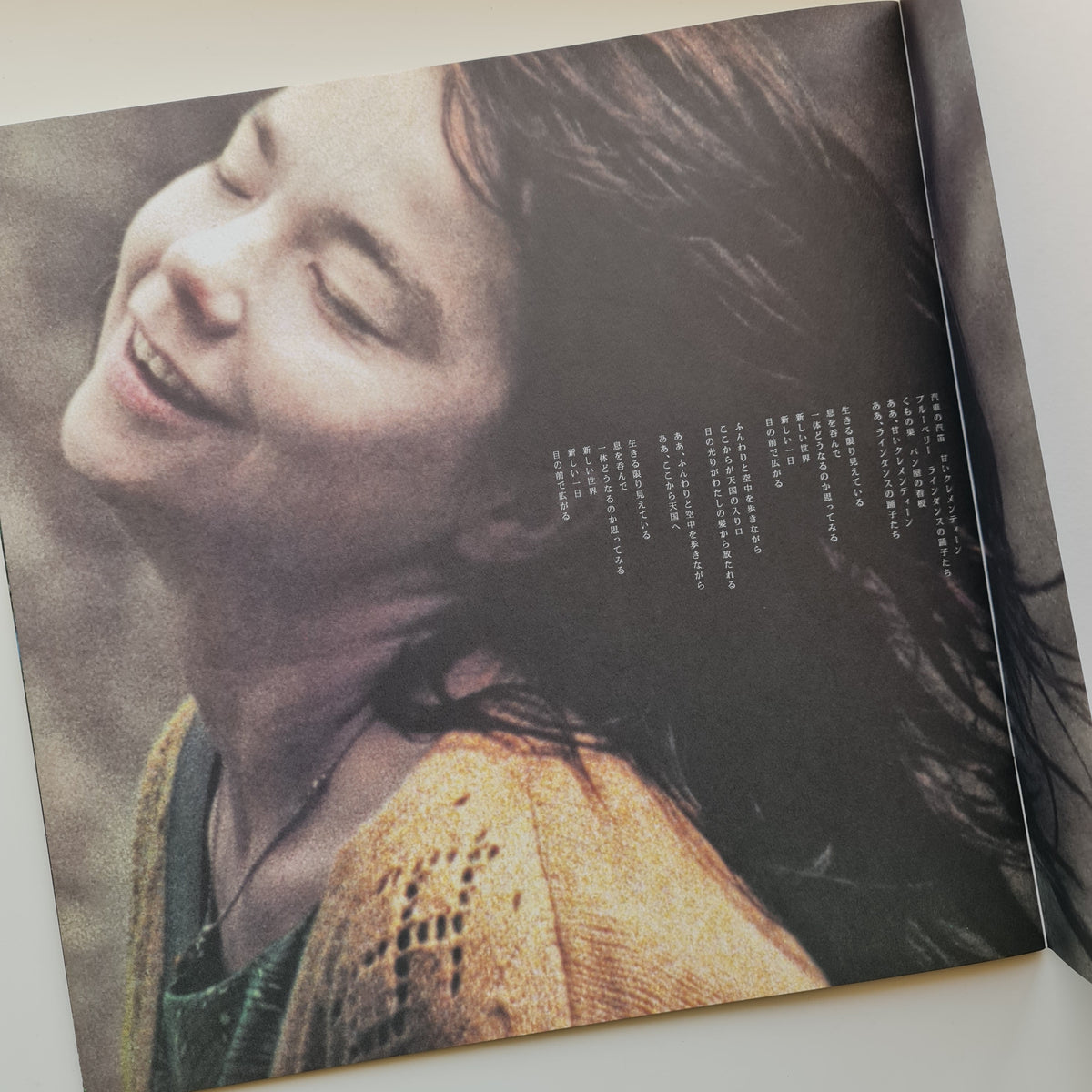 Bjork Dancer In The Dark Kitap Only Japan Vinyl