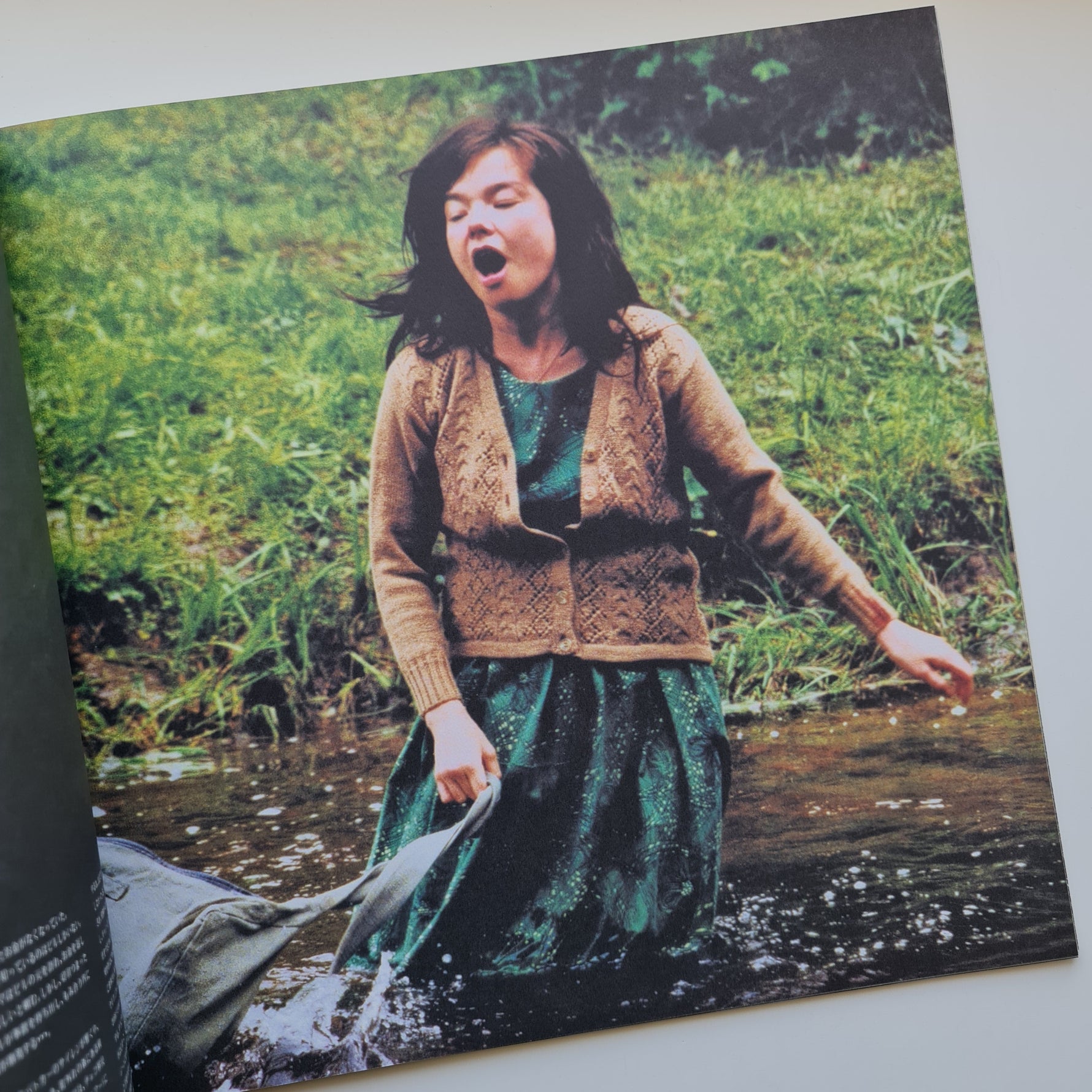 Bjork Dancer In The Dark Kitap Only Japan Vinyl