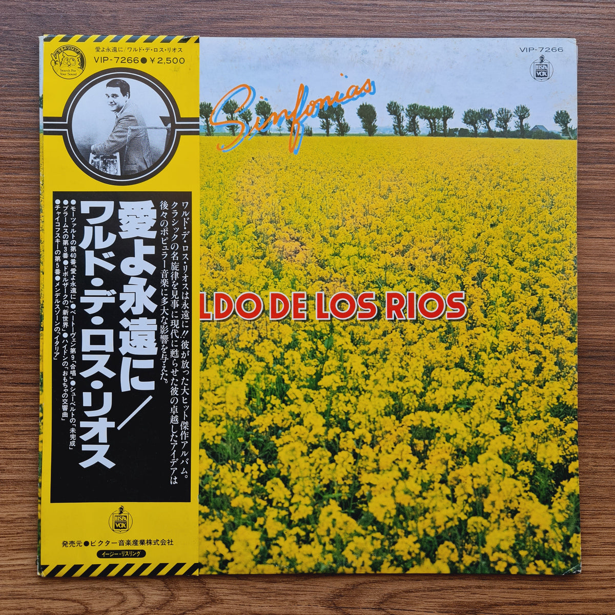Waldo de Los Rios - Love Forever Only Japan Vinyl