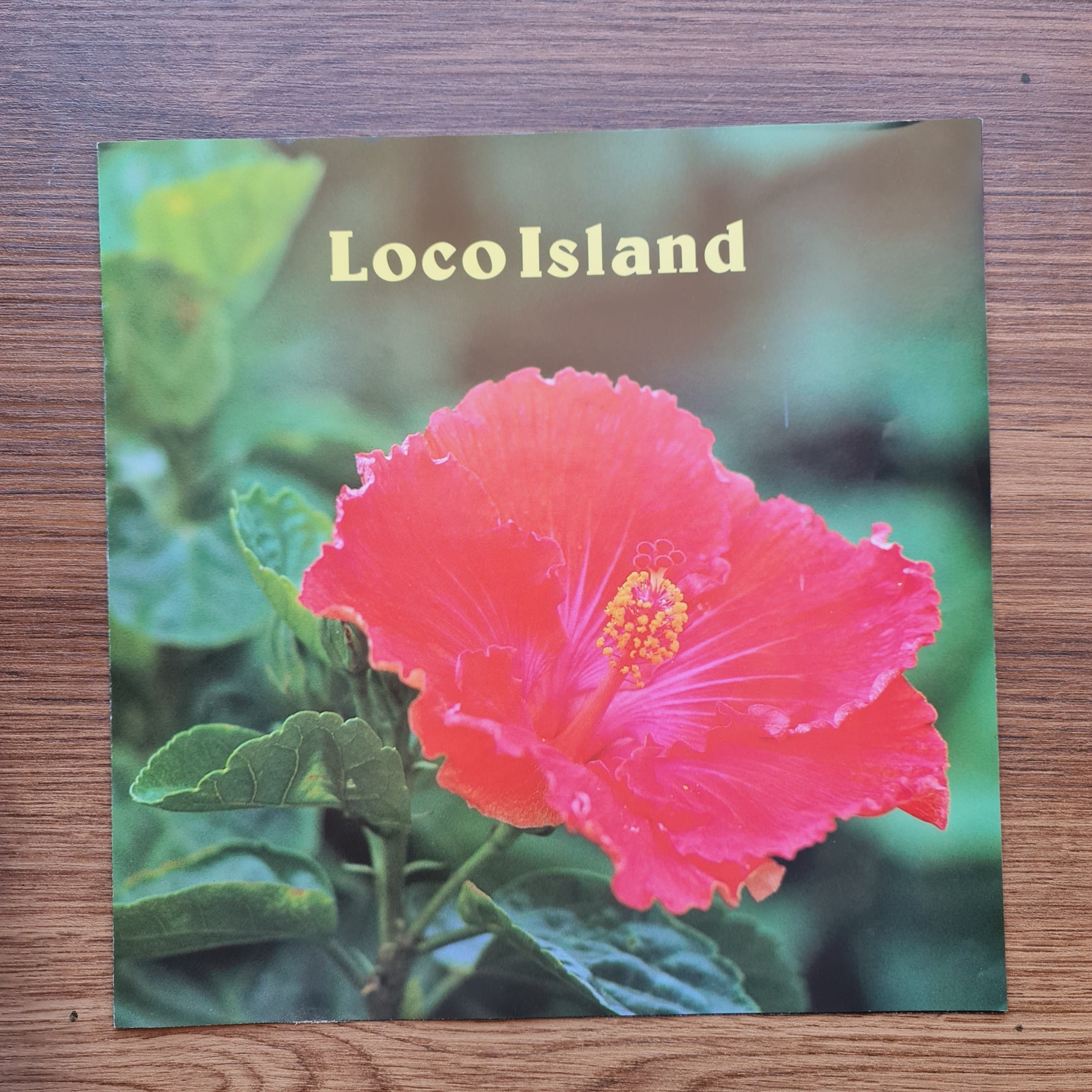 Nina Atsuko – Loco Island Only Japan Vinyl
