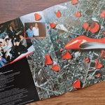 Toshiki Kadomatsu – Gold Digger ~ With True Love Only Japan Vinyl
