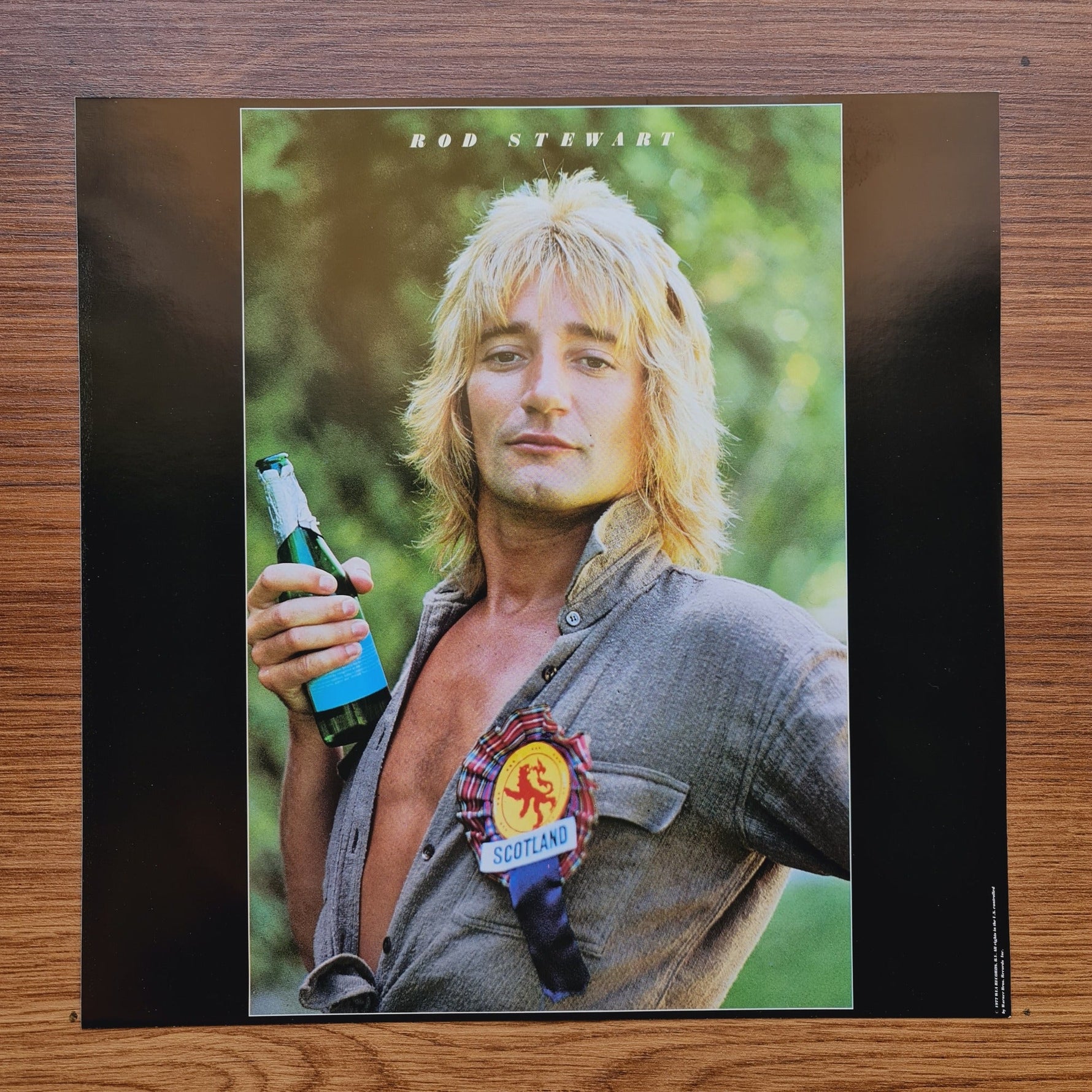 Rod Stewart – Foot Loose & Fancy Free Only Japan Vinyl