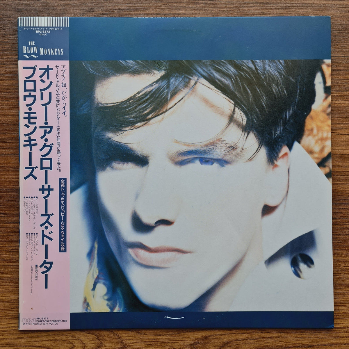 The Blow Monkeys – She Was Only A Grocer's Daughter Only Japan Vinyl