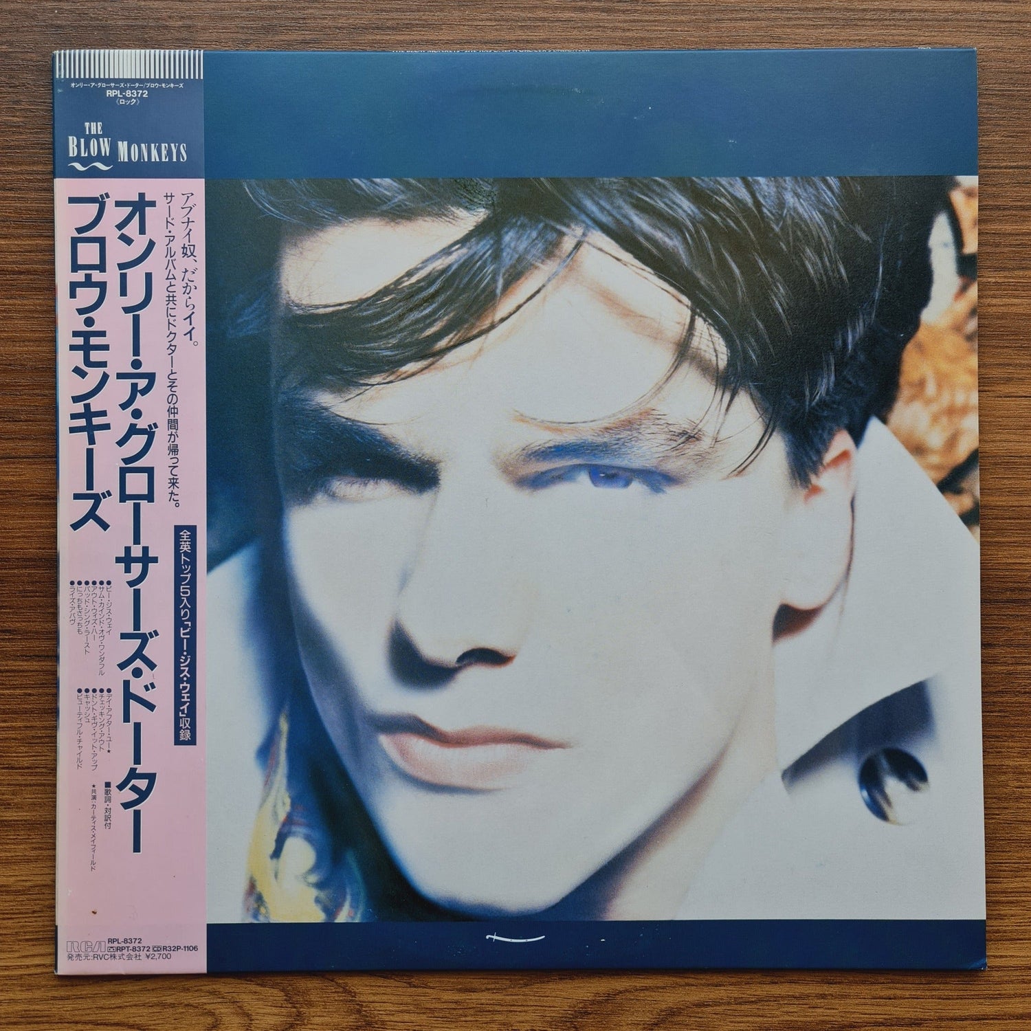 The Blow Monkeys – She Was Only A Grocer's Daughter Only Japan Vinyl