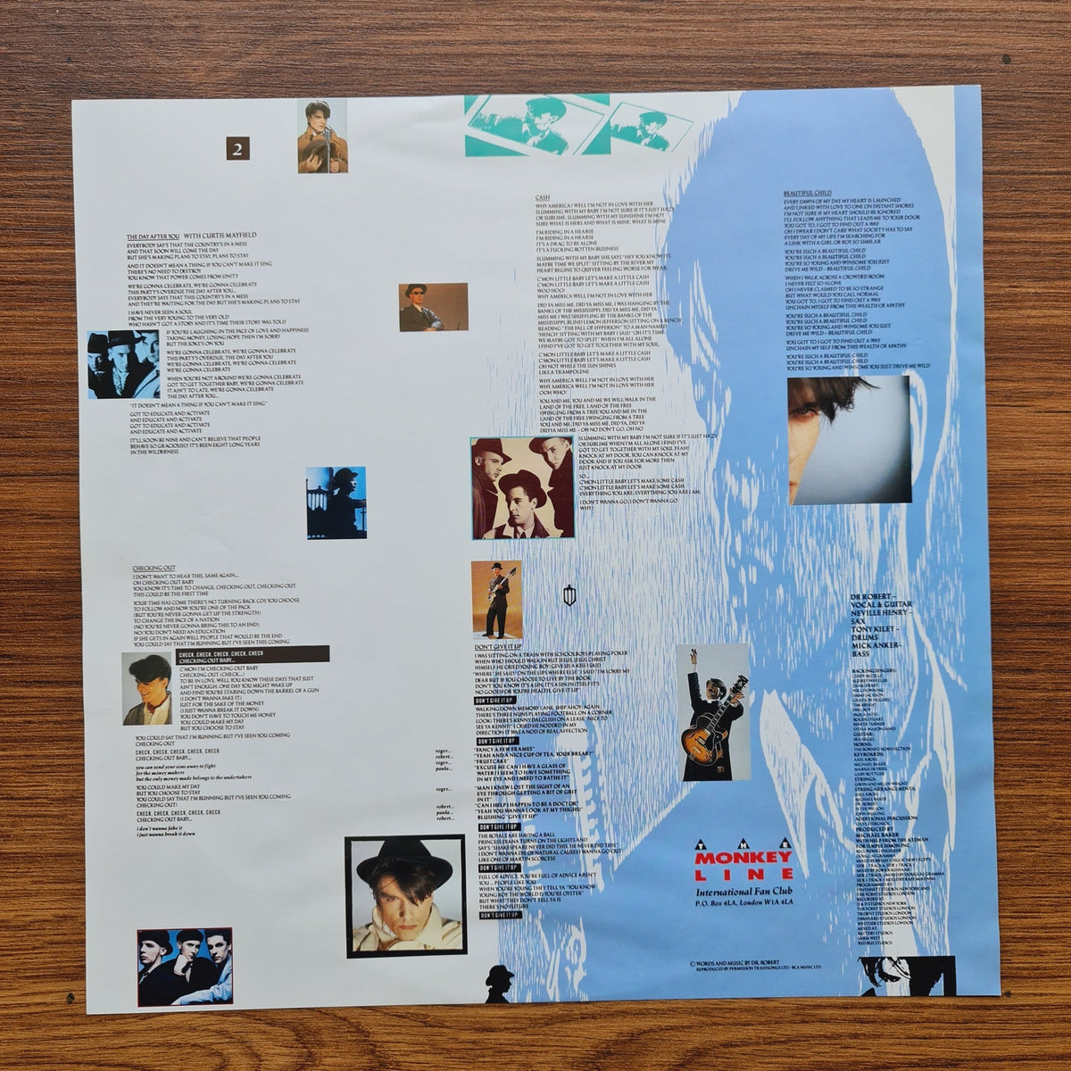 The Blow Monkeys – She Was Only A Grocer's Daughter Only Japan Vinyl