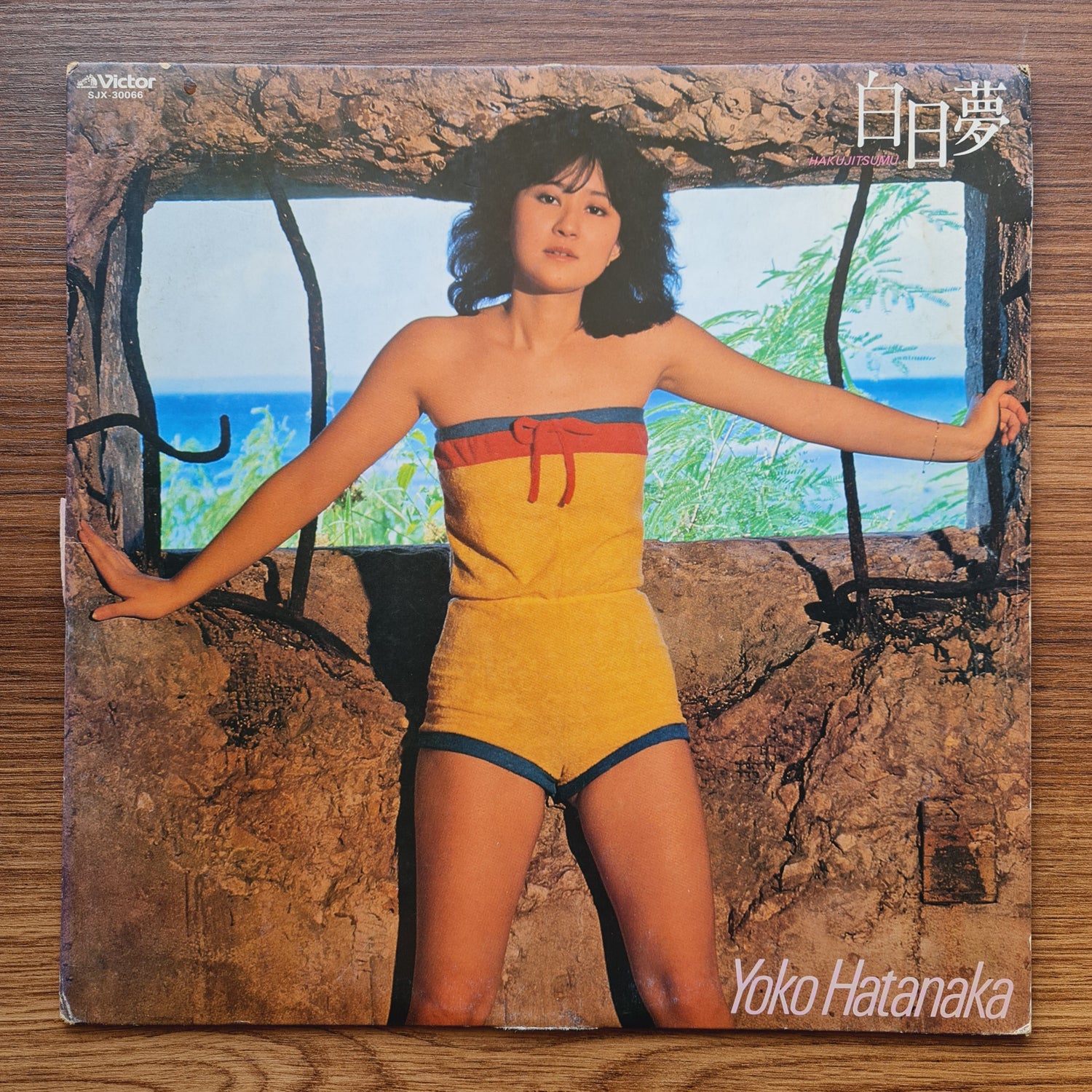 Yoko Hatanaka – How to Choose Only Japan Vinyl