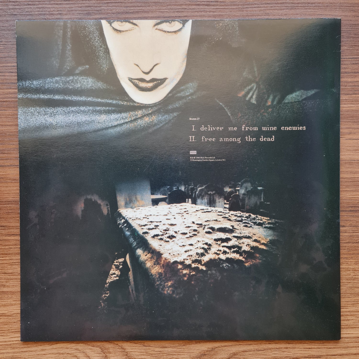 Diamanda Galas - The Divine Punishment