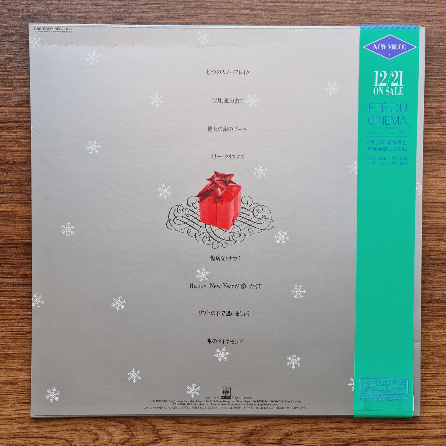 Yoko Minamino – Snowflakes