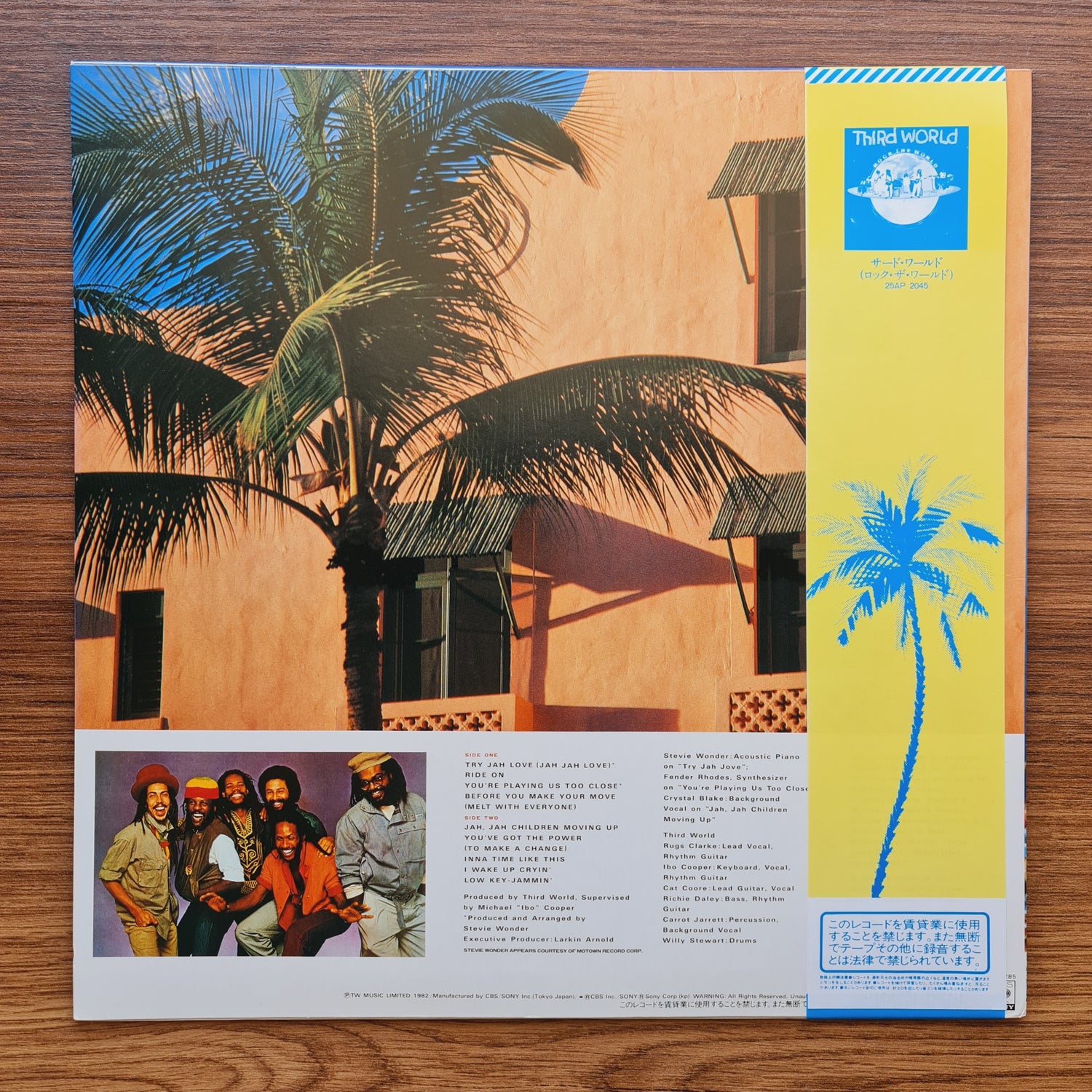 Third World – You've Got The Power