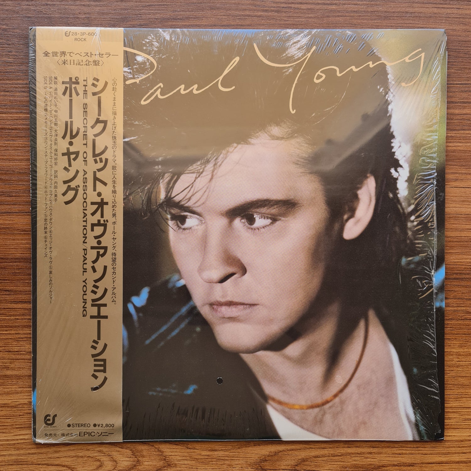 Paul Young – The Secret Of Association