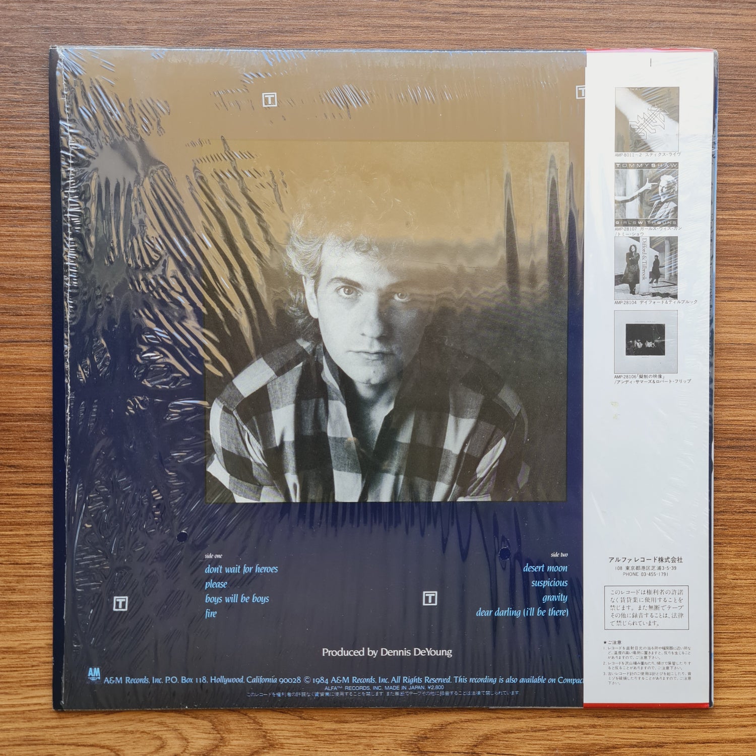 Dennis DeYoung – Desert Moon