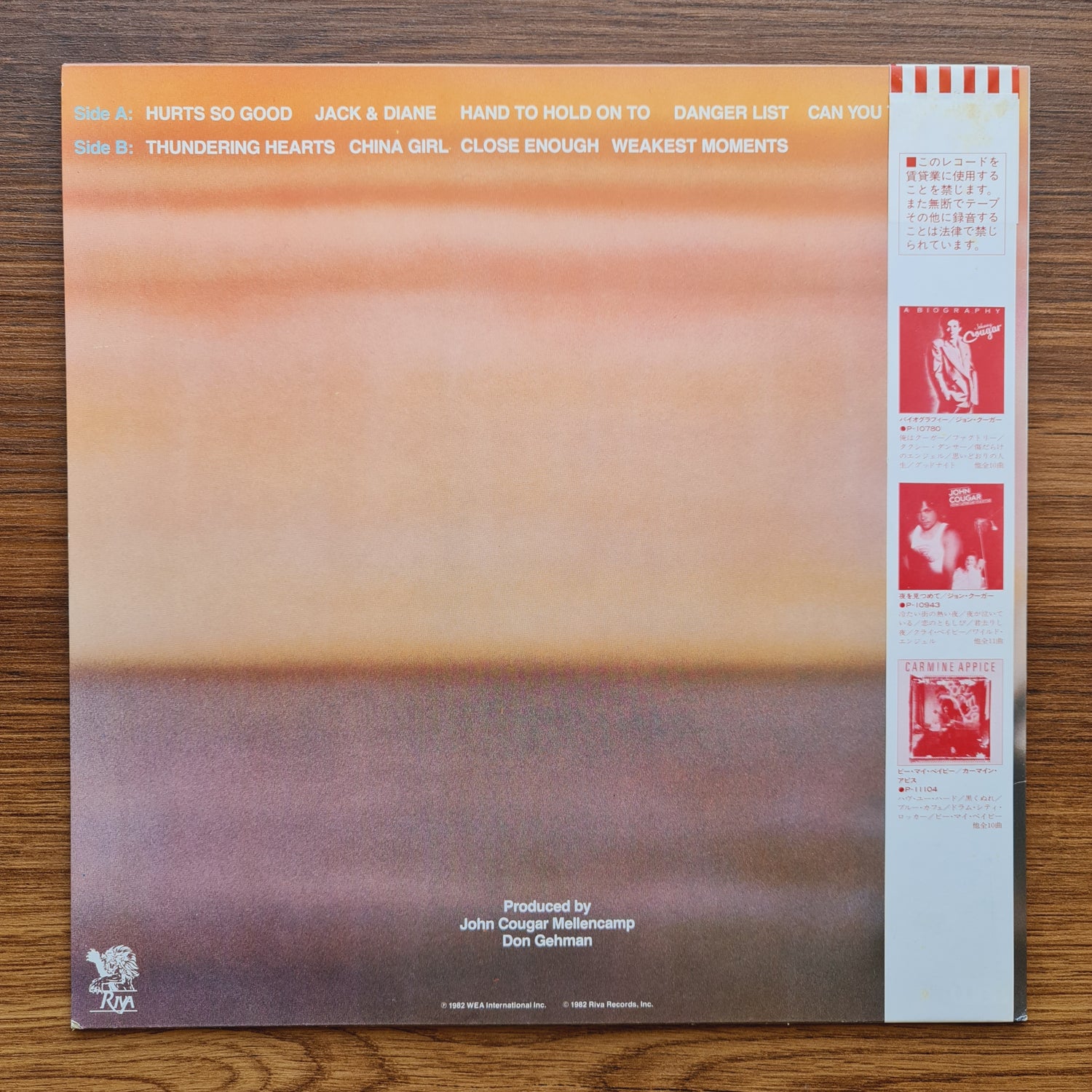 John Cougar – American Fool