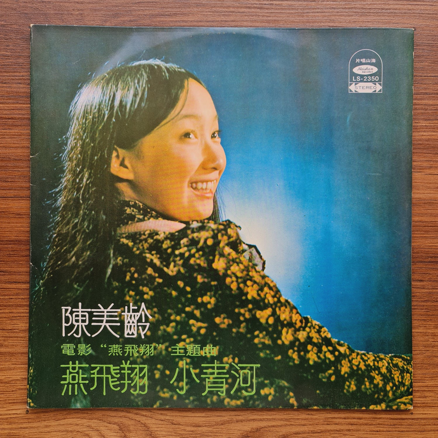Agnes Chan – Flying Swallow