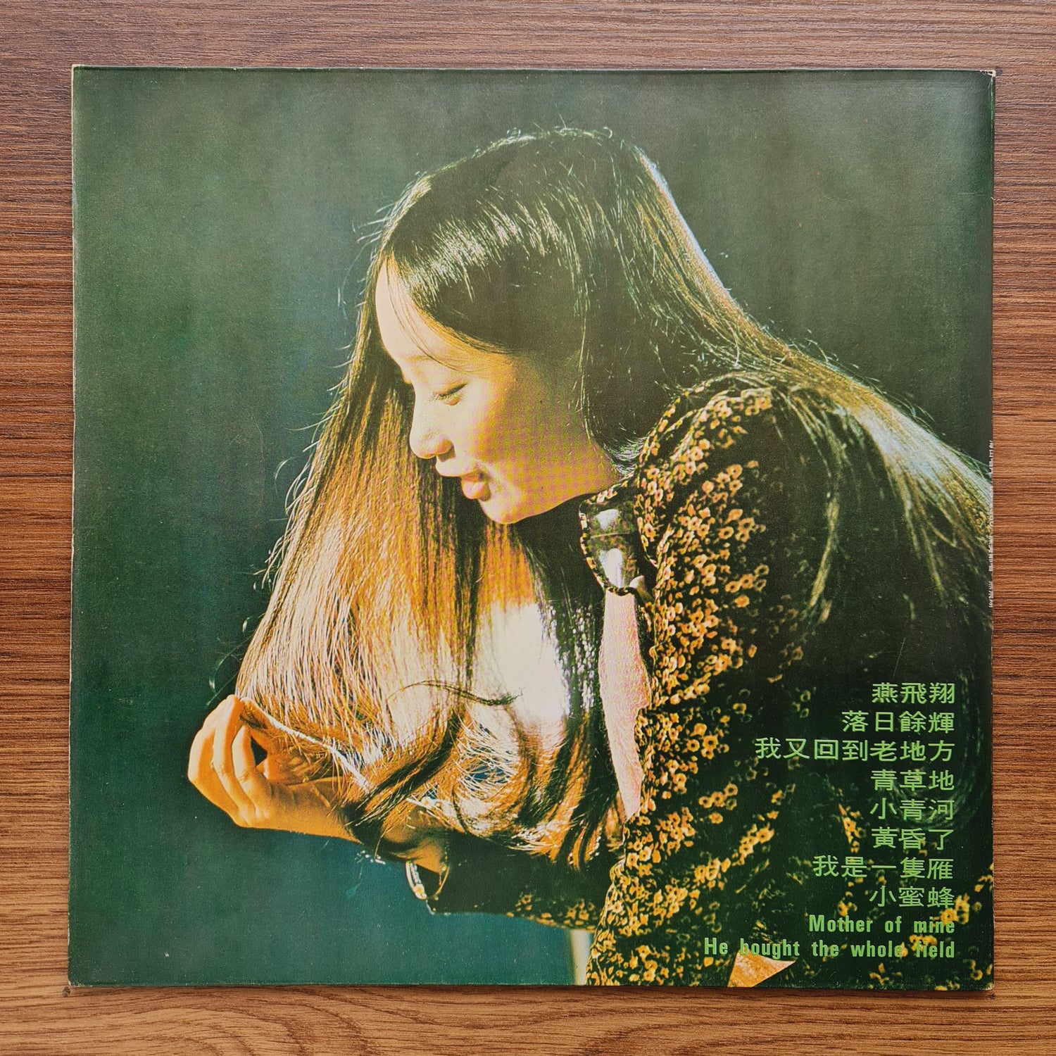 Agnes Chan – Flying Swallow