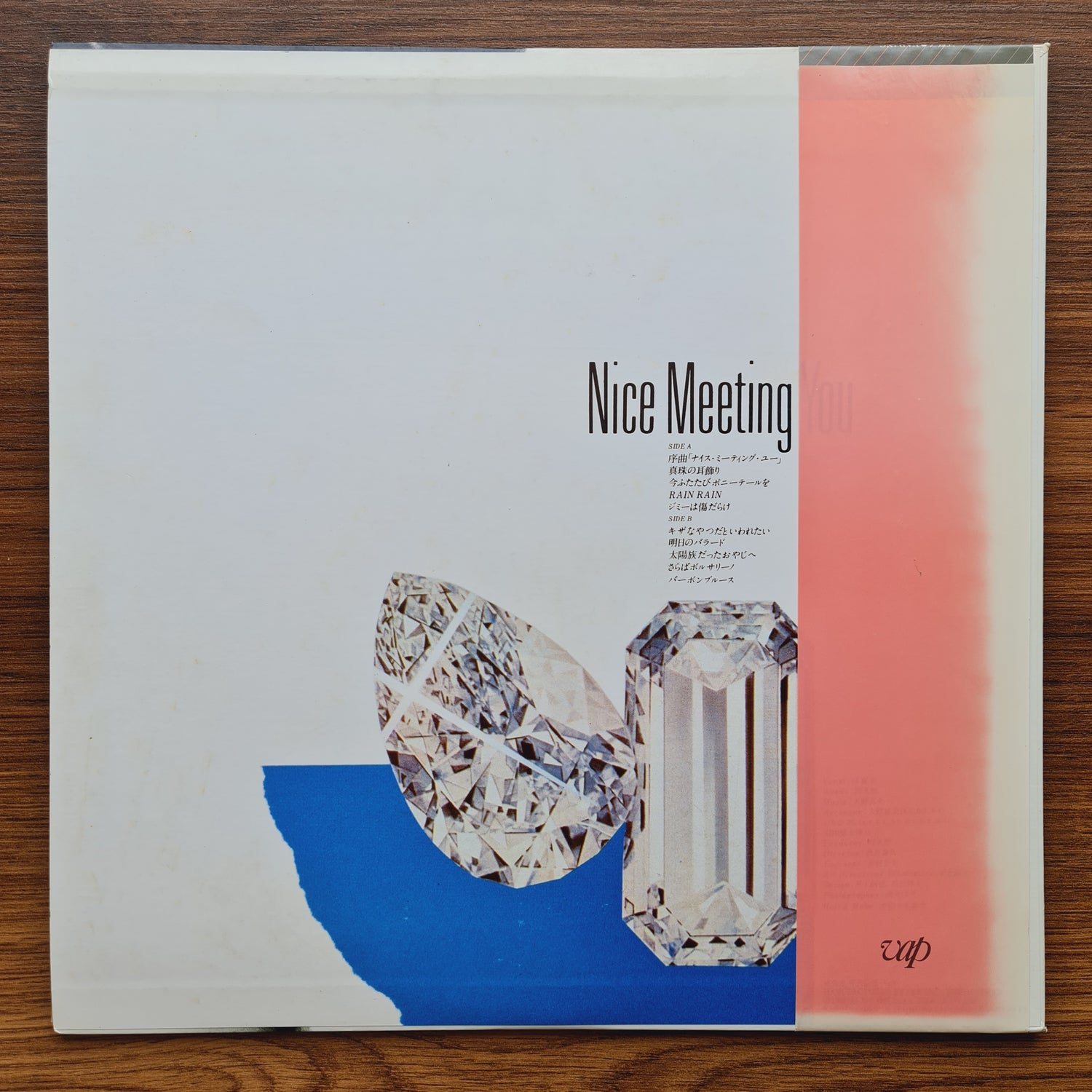 Natsuko Migiwa – Nice Meeting You