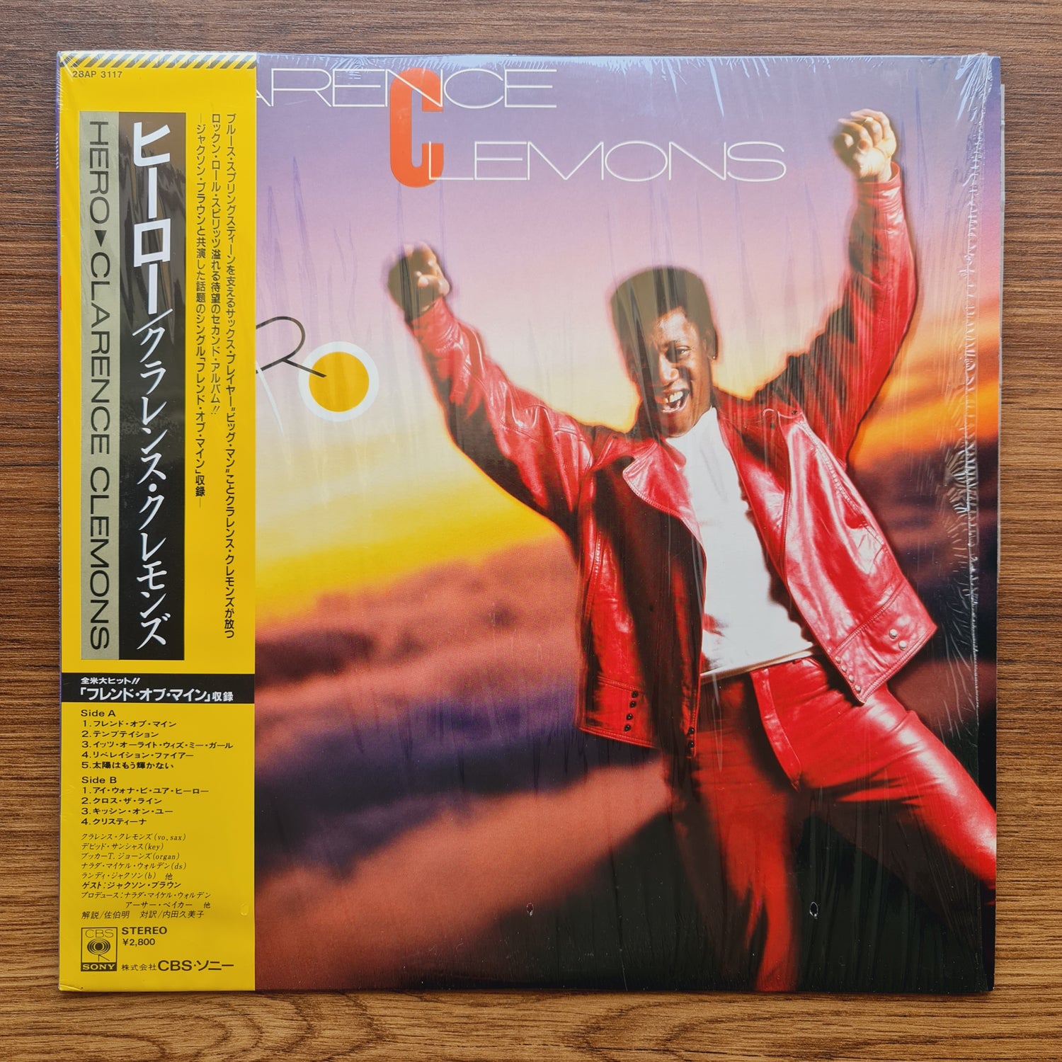 Clarence Clemons – Hero