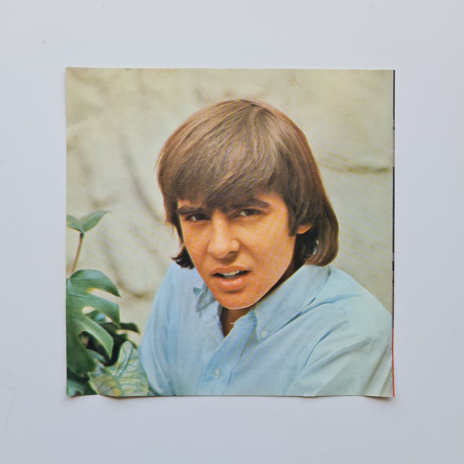 The Monkees – Daydream Believer / Goin' Down