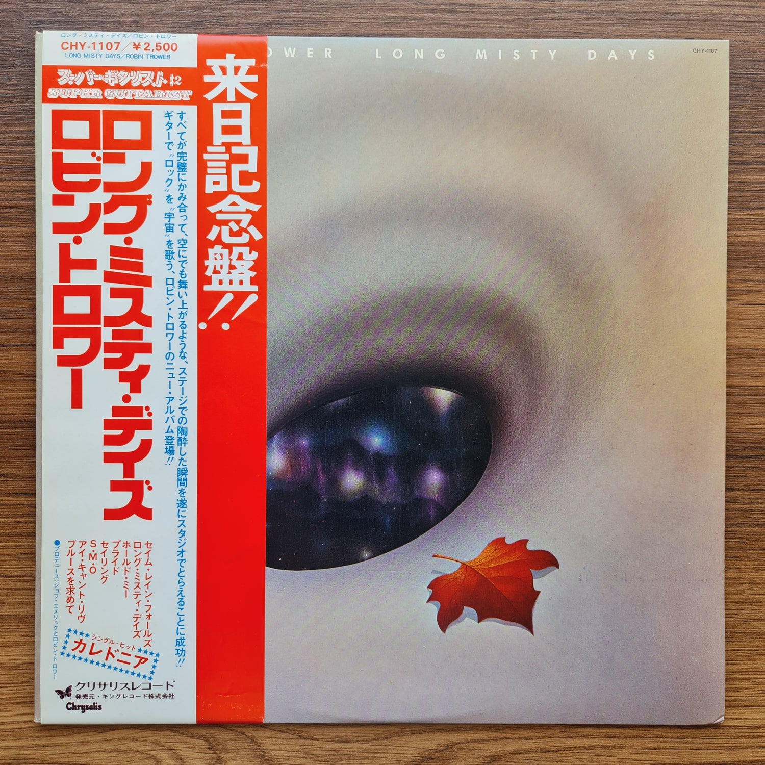 Robin Trower – Long Misty Days