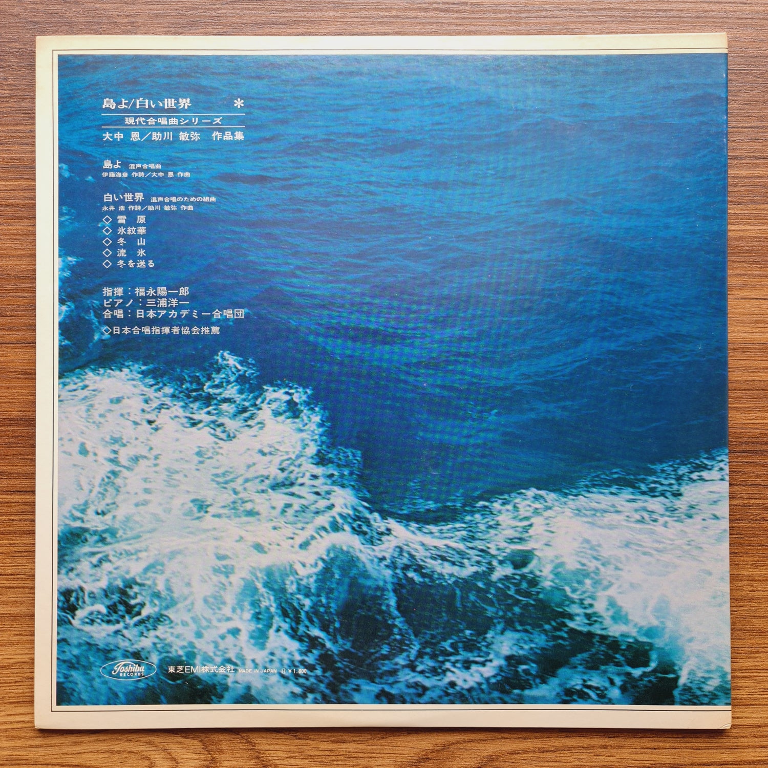 Megumi Onaka, Toshiya Sukegawa – Island The White World