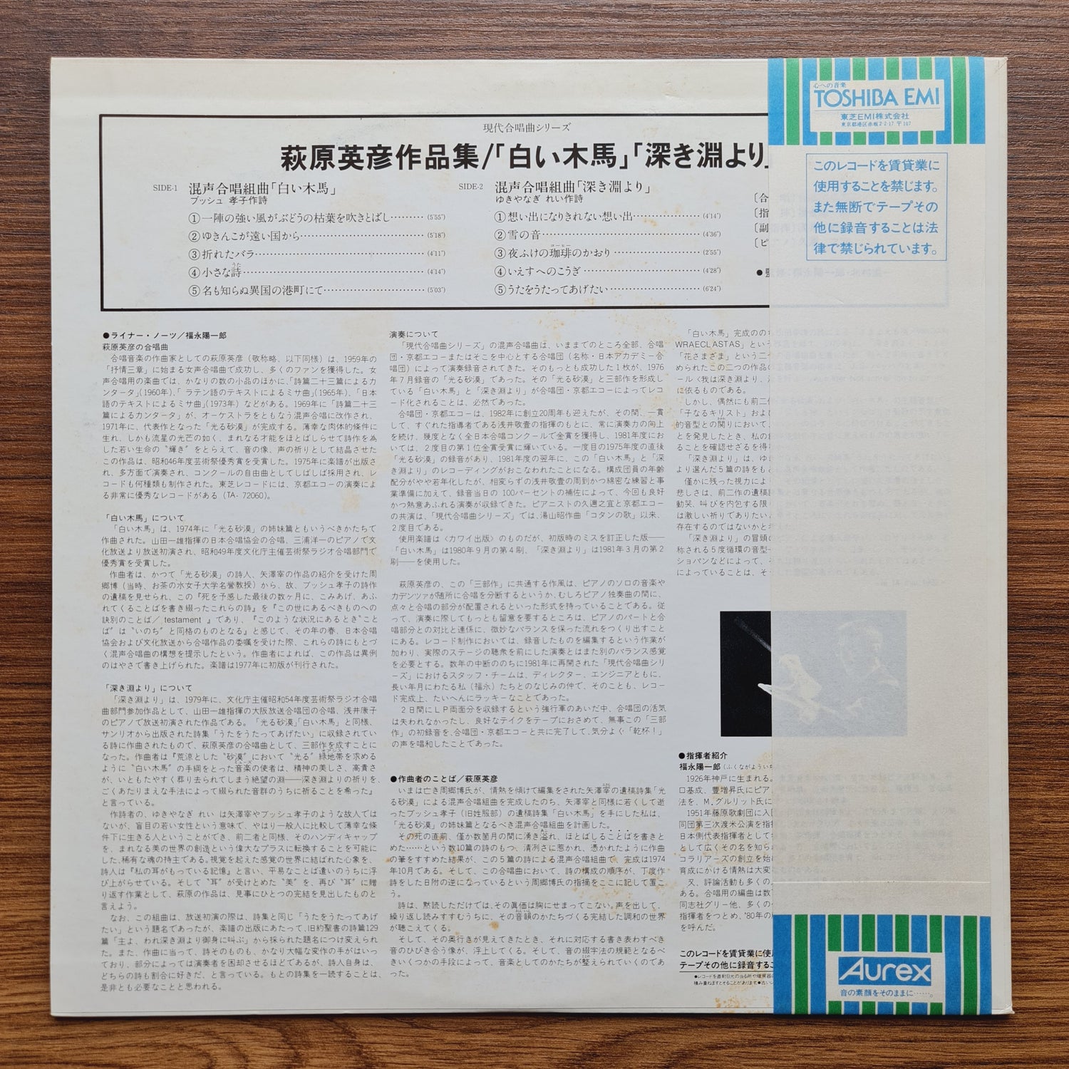 Hidehiko Hagiwara's – Works: White Wooden Horse
