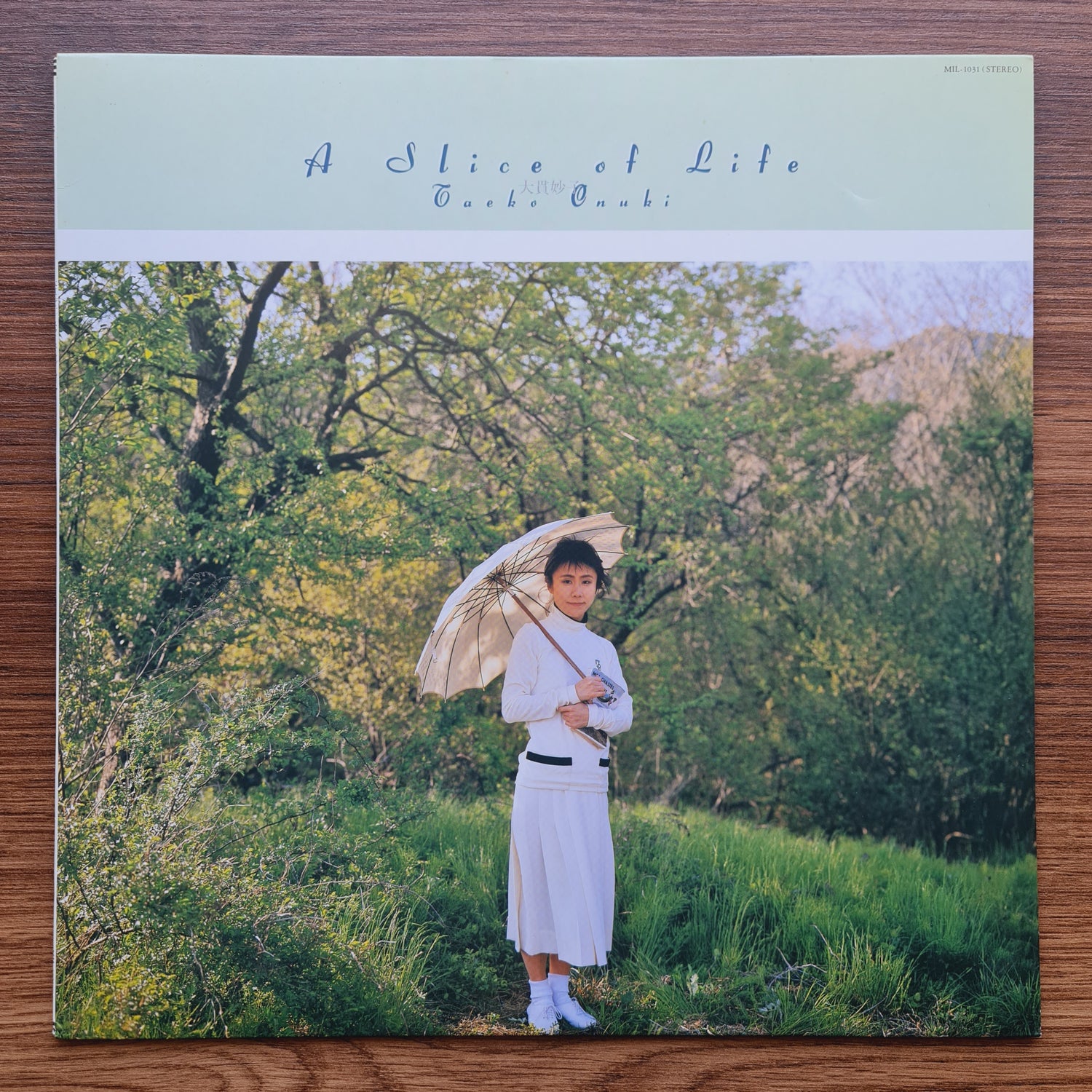 Taeko Ohnuki – A Slice Of Life