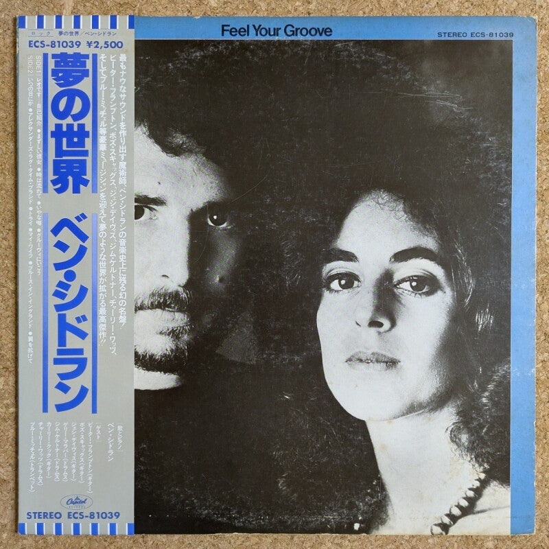 Ben Sidran – Feel Your Groove Plak