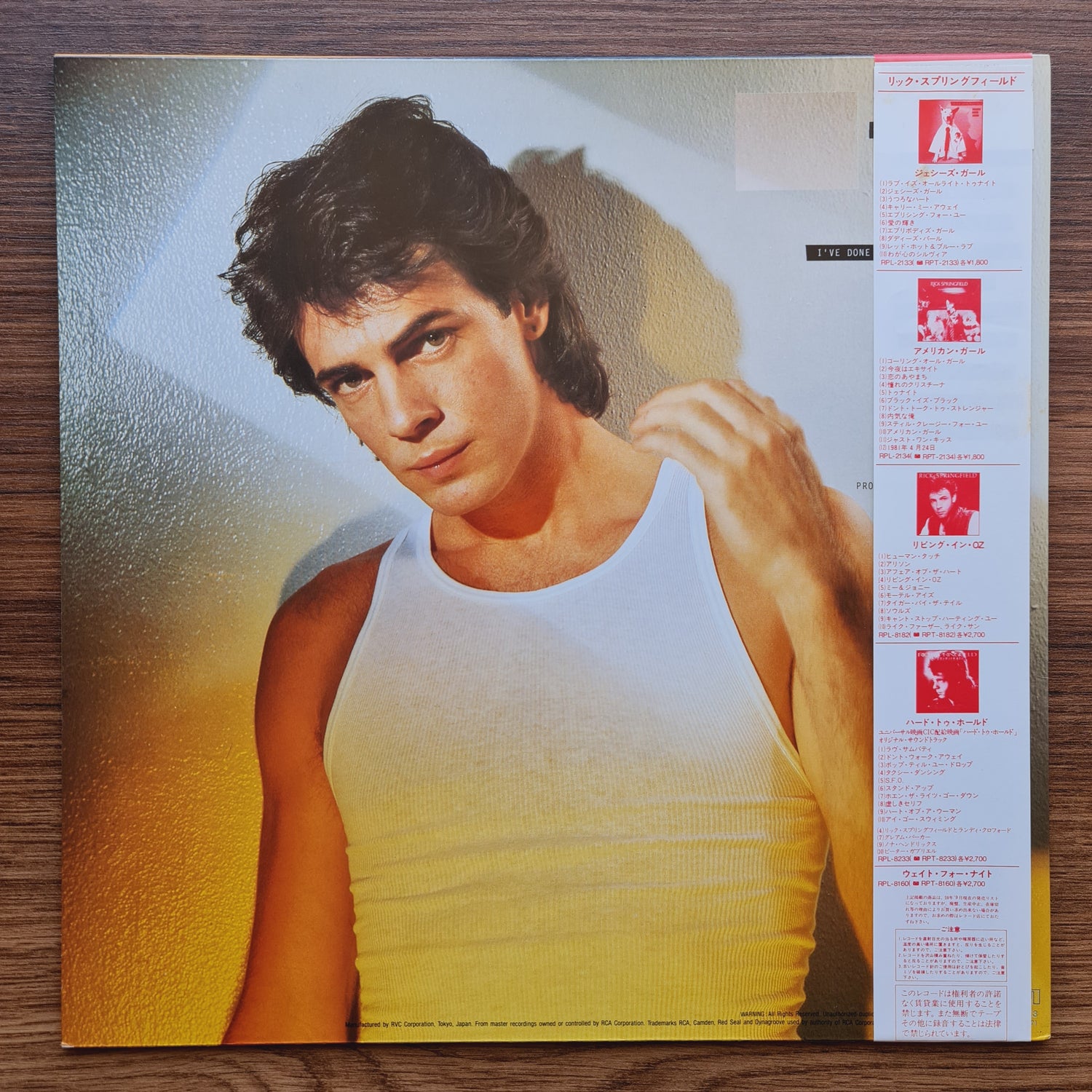 Rick Springfield – Working Class Dog