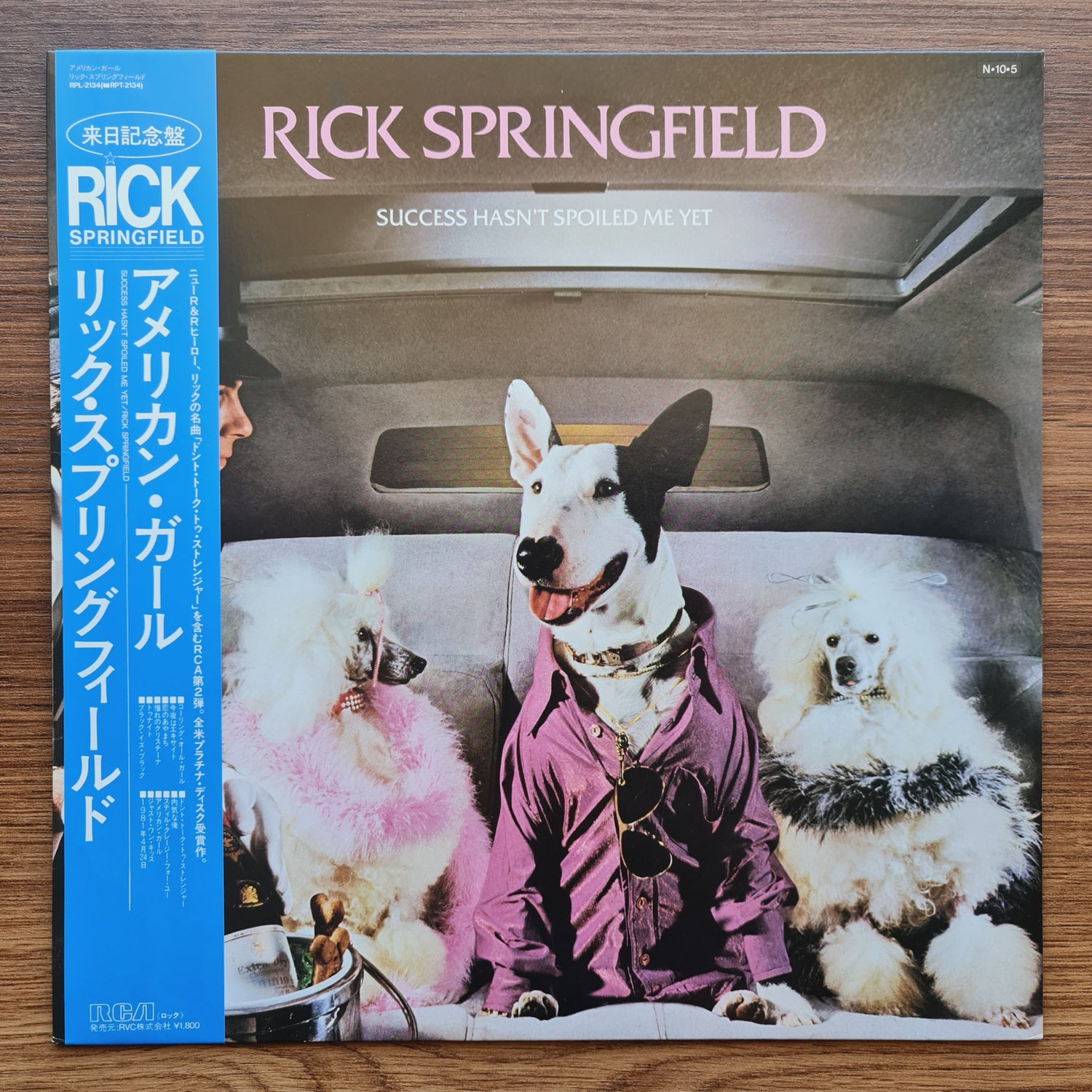 Rick Springfield – Success Hasn't Spoiled Me Yet