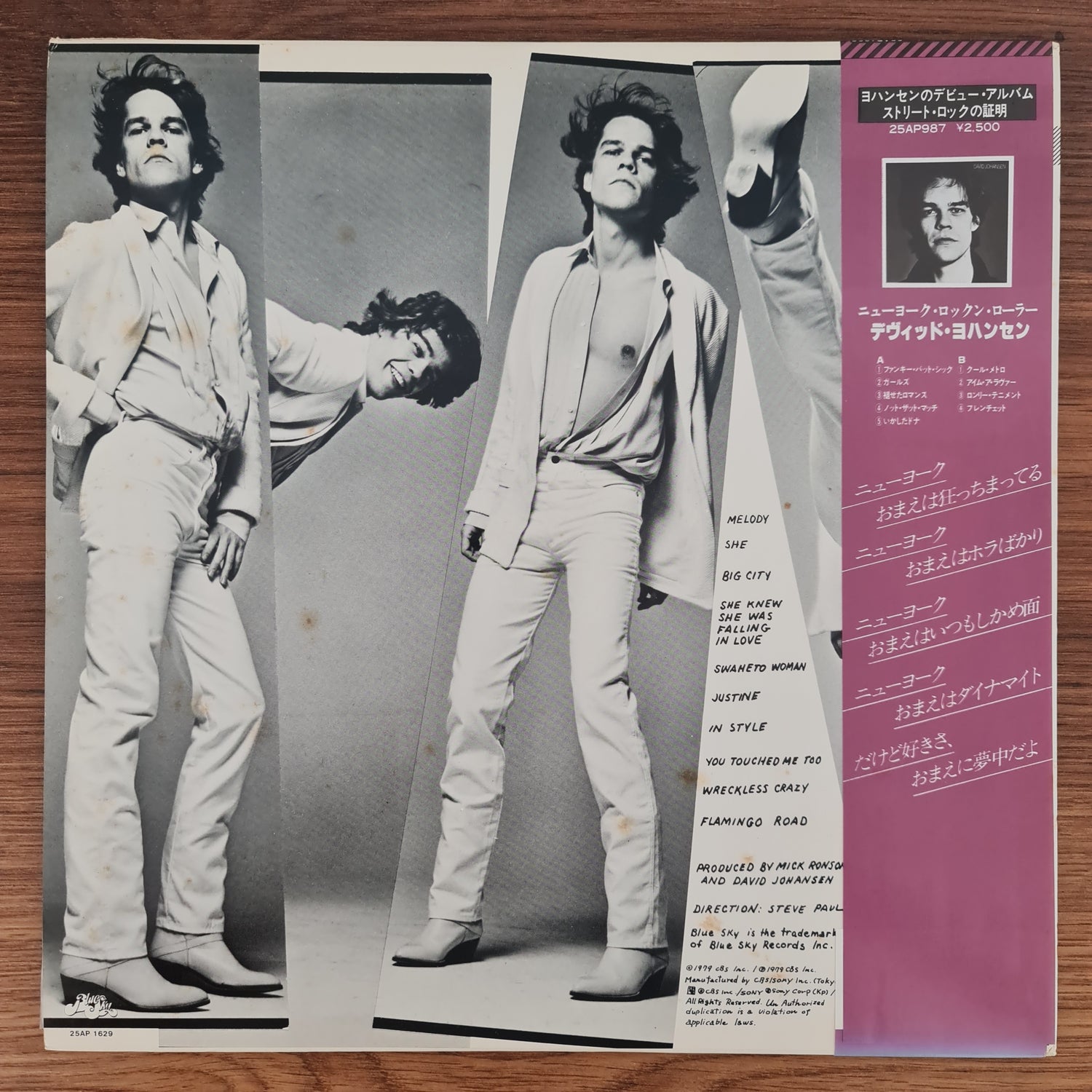 David Johansen – In Style