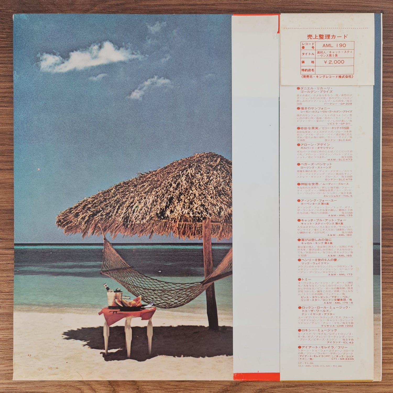 Cat Stevens – Foreigner