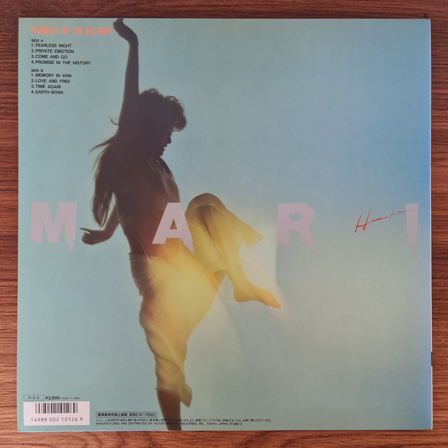 Mari Hamada – Promise In The History