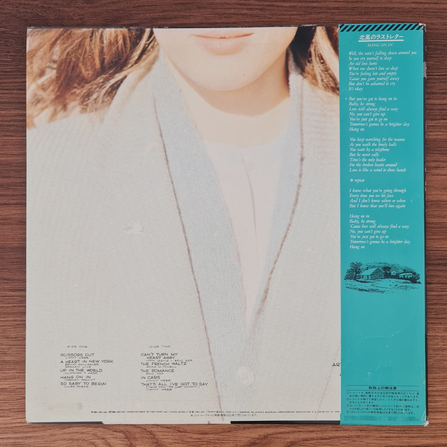 Art Garfunkel – Scissors Cut
