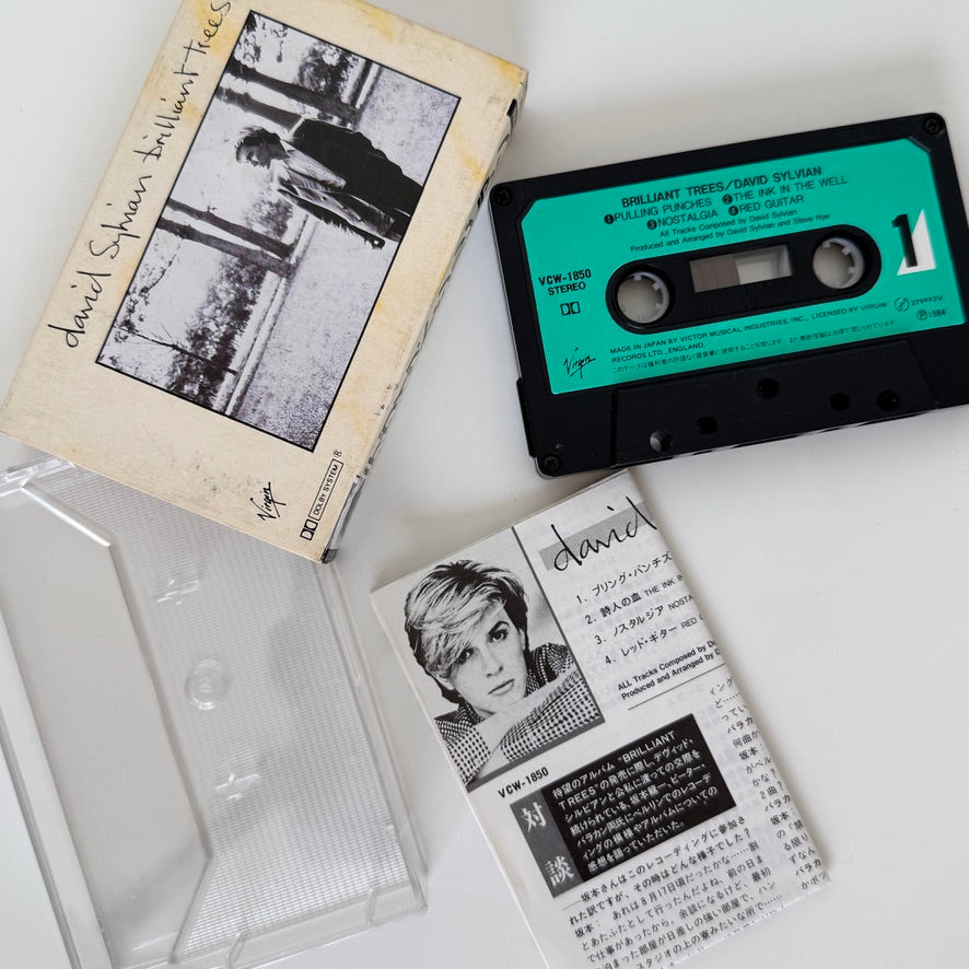 David Sylvian – Brilliant Trees Kaset