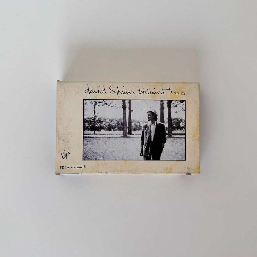 David Sylvian – Brilliant Trees Kaset