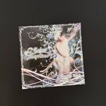 Asami Imai – Color Sanctuary CD Japan Vinyl
