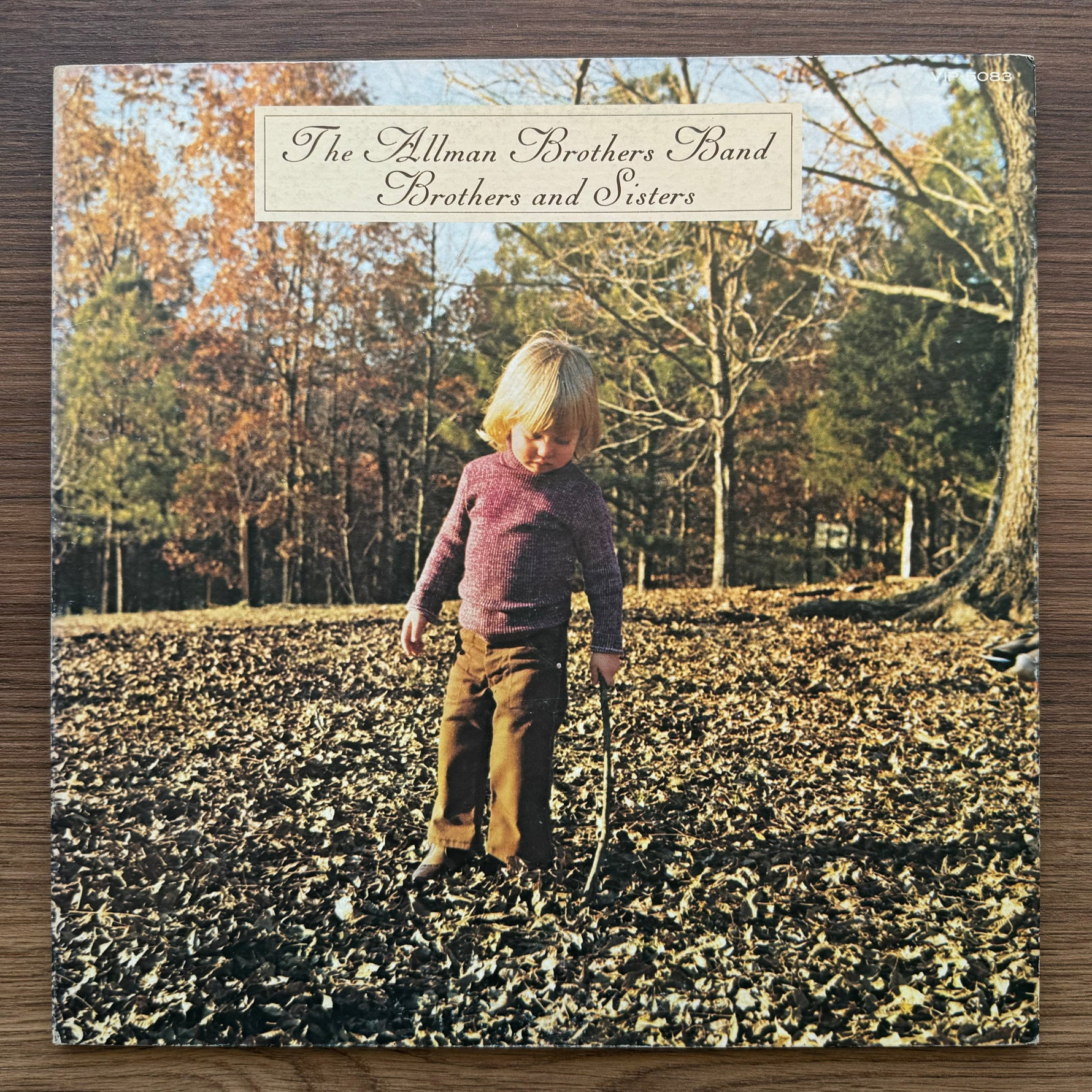 The Allman Brothers Band – Brothers And Sisters 33'lük LP PLAK Japan Vinyl