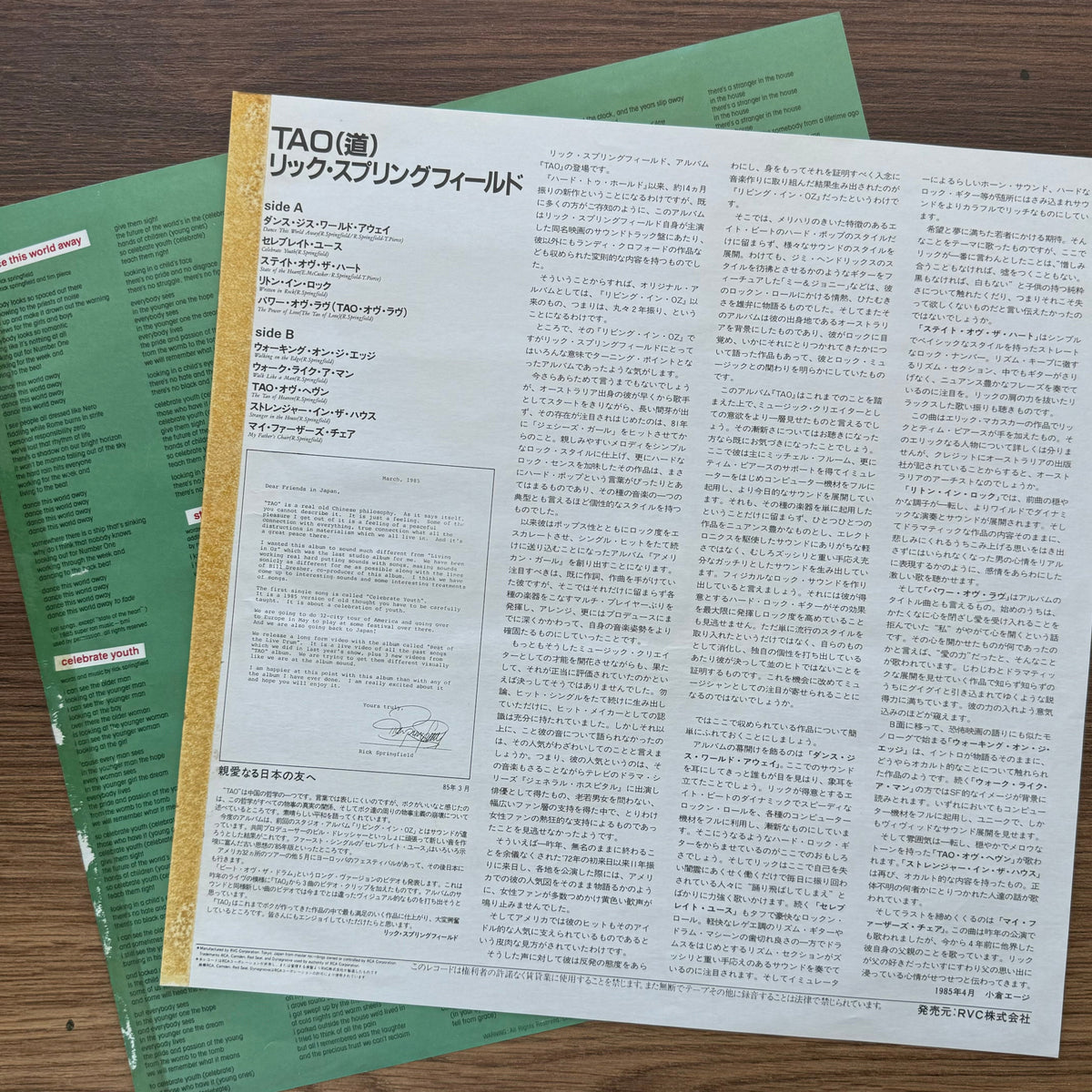 Rick Springfield – Tao 33'lük LP PLAK Japan Vinyl