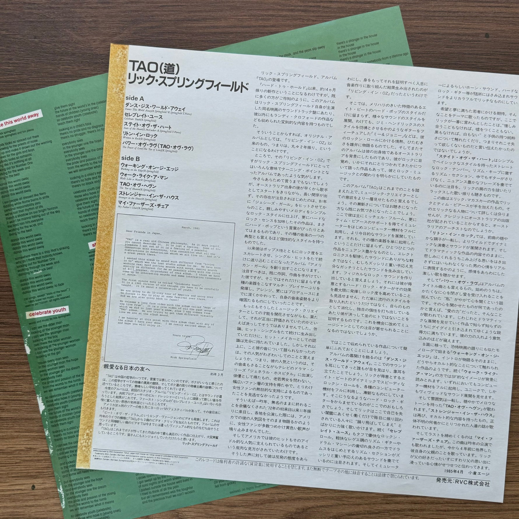 Rick Springfield – Tao 33'lük LP PLAK Japan Vinyl