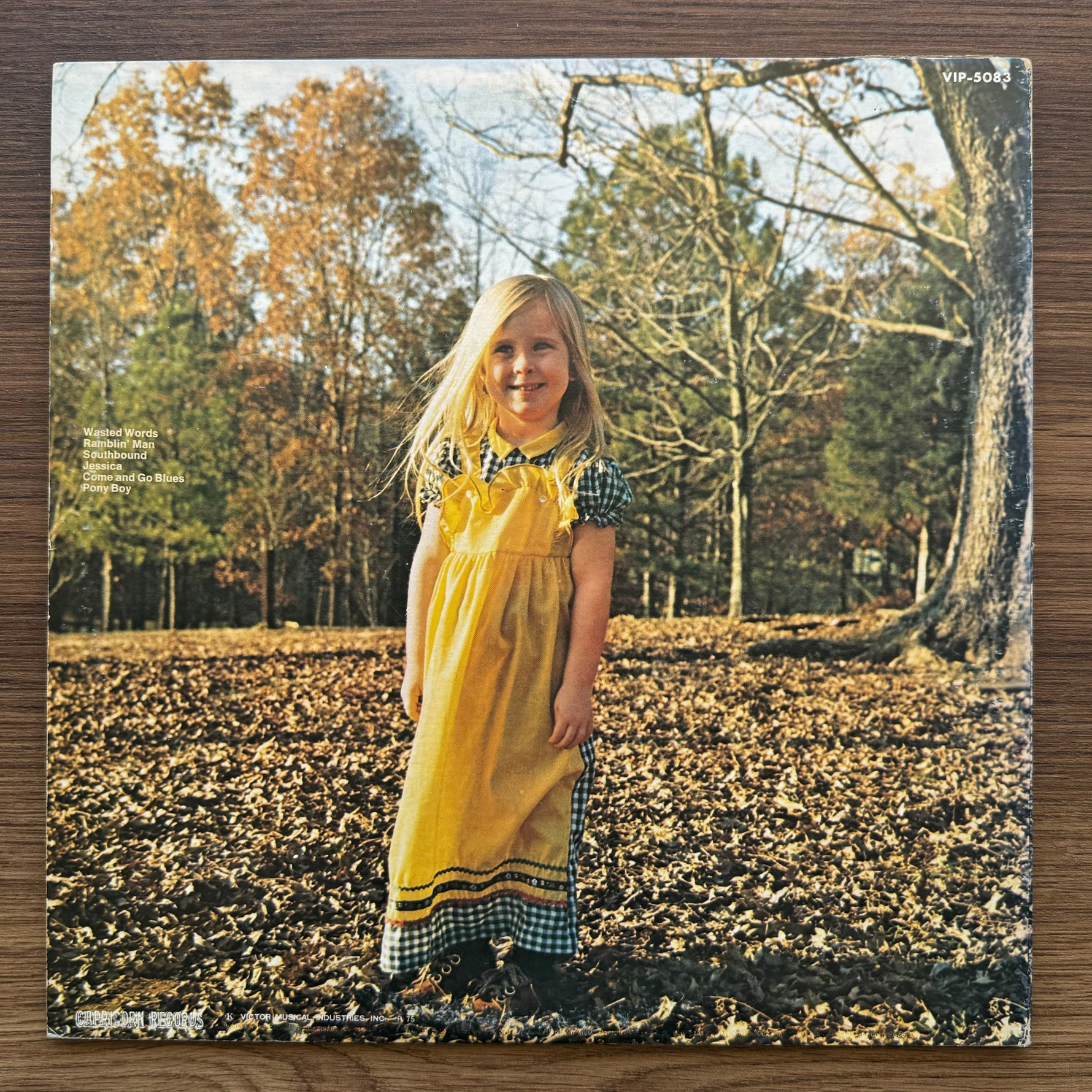The Allman Brothers Band – Brothers And Sisters 33'lük LP PLAK Japan Vinyl