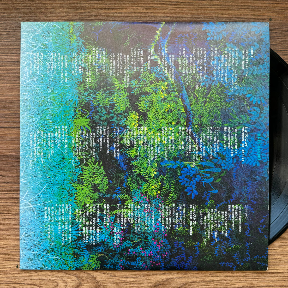 Hi-fi Set – Hi-Fi Blend 33'lük LP PLAK Japan Vinyl